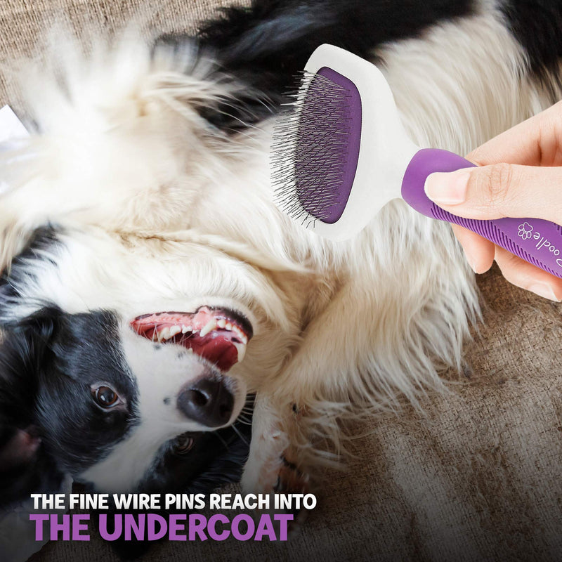 Poodle Pet Bundle - Detangling Pet Comb Detangler Tool Grooming Comb for Dog and Cat + Slicker Brush for Small and Large Dogs Grooming Brush - BeesActive Australia