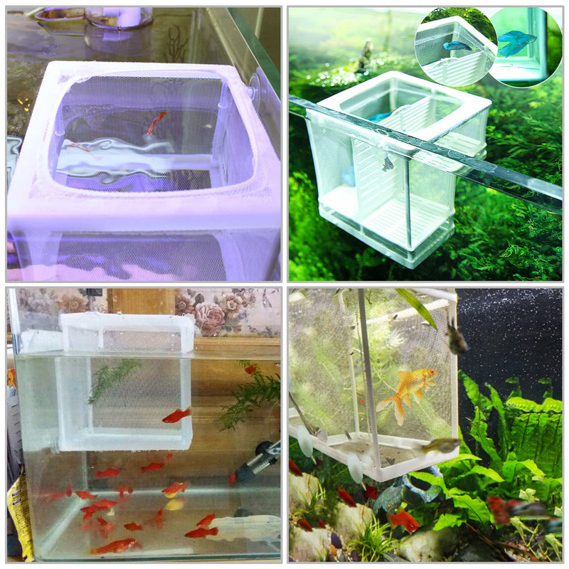 Fish Tank Breeder Net 2 Pcs Aquarium Fish Breeder Box, Separation Net, Small Fish Breeder Isolation Box, Hatching Box for Newborn Small Fish Aquarium Fish Tank(16x15.5x14.5cm) - BeesActive Australia