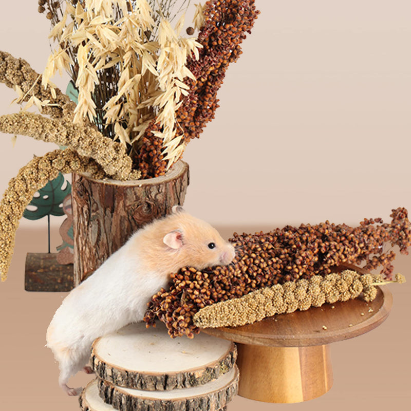 NICERINC PET Natural Herb Bedding Mate Habitat Decor, Adding Fun Hamster Accessories for Hamsters Gerbils Lemming Grain - BeesActive Australia
