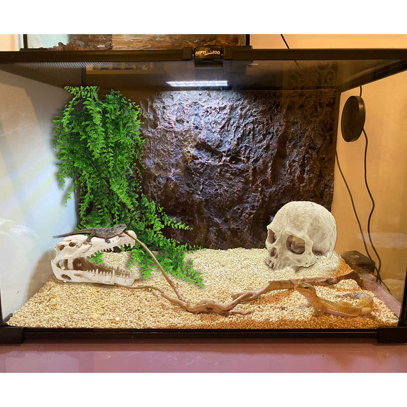 Tfwadmx Bearded Dragon Tank Accessories Reptiles Crocodile Skull Decorations Resin Human Skulls Hideouts Cave Habitat Lizard Plants Hanging Fake Vines Decor for Chameleon,Snake,Spider,Gecko and Fish - BeesActive Australia
