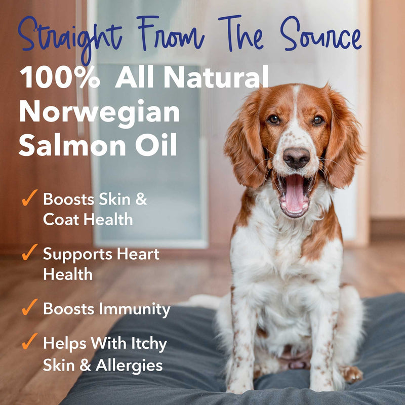 iHeartDogs Salmon Oil for Dogs and Cats - Nourishing Skin & Coat Omega 3 Fish Oil for Dogs Supports Allergy & Itch Relief, Heart Health and Joint Health - 32 oz - BeesActive Australia
