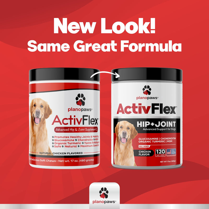 Glucosamine for Dogs Hip and Joint Supplement - Safe Joint Support for Dogs - Natural Dog Joint Supplement with Glucosamine Chondroitin MSM Turmeric - 120 Dog Arthritis Pain Relief Chews ActivTreats Chicken - BeesActive Australia