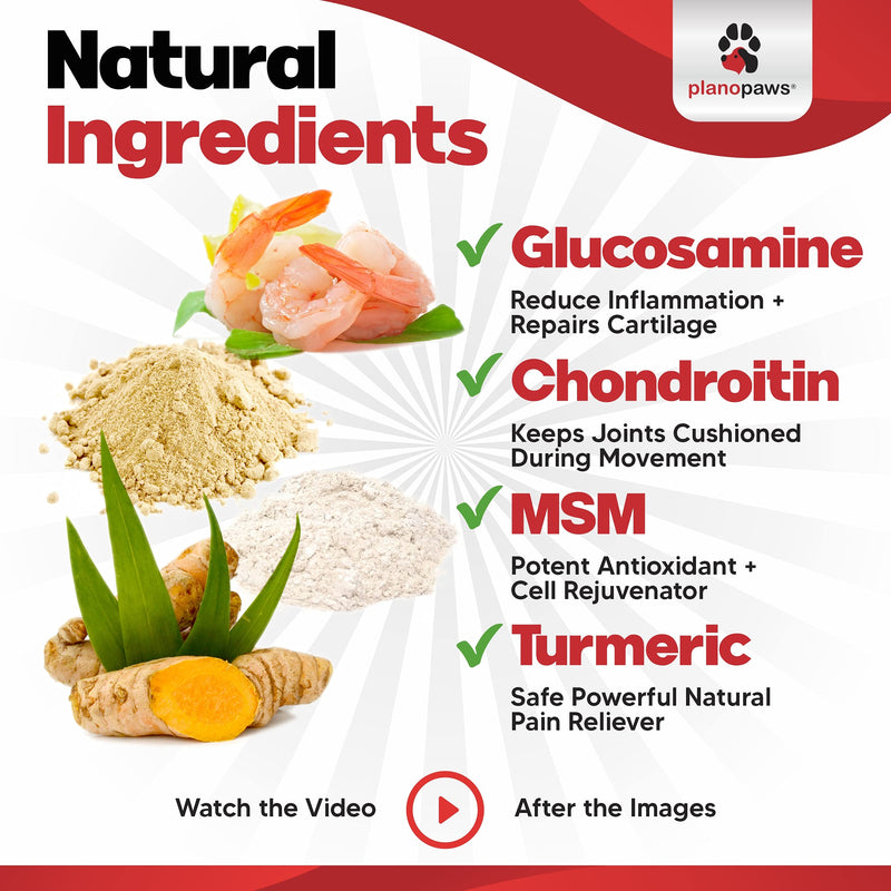 Glucosamine for Dogs Hip and Joint Supplement - Safe Joint Support for Dogs - Natural Dog Joint Supplement with Glucosamine Chondroitin MSM Turmeric - 120 Dog Arthritis Pain Relief Chews ActivTreats Chicken - BeesActive Australia