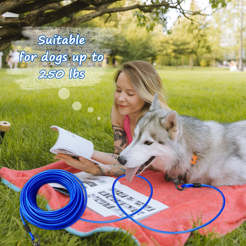 Tie Out Cable with Spring for Dogs,10/20/30/ 50FT Long Dog Leash ,Dog Runner for Yard Heavy Duty, Dog Chains for Outside, Sturdy Long Line Lead for Dogs Training Outdoor in Camping or Yard 10ft Blue - BeesActive Australia