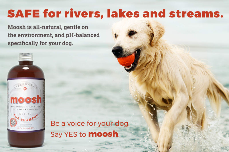Moosh Natural Dog Shampoo – Promotes Healthy Hair, Coat and Skin. Helps Hot Spots, Dry Itchy Skin, Allergies. Pet Odor Eliminator – Grooming Shampoo. Shea Butter, Argan Oil, Aloe Vera, Bentonite Clay 1 Bottle - BeesActive Australia
