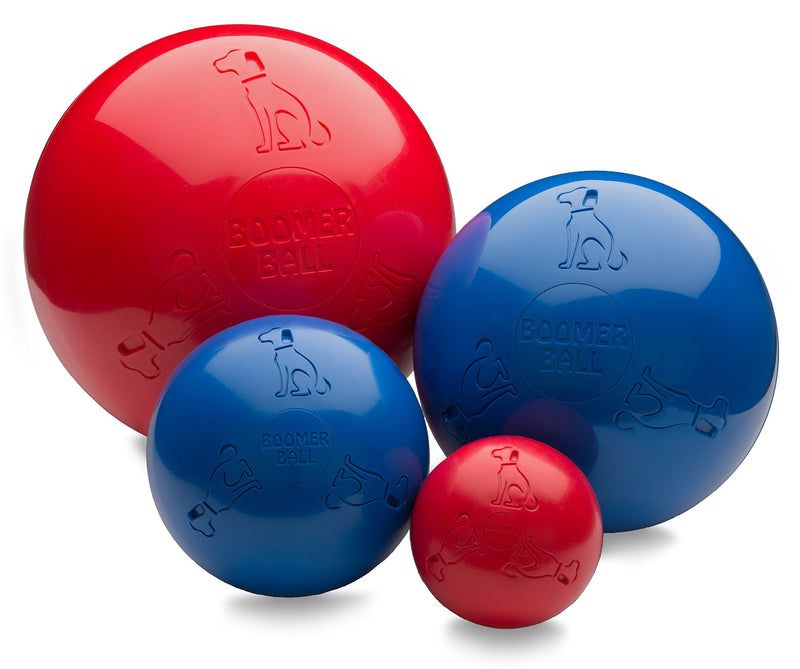 Boomer Ball Large (8 in) Blue or Red - BeesActive Australia