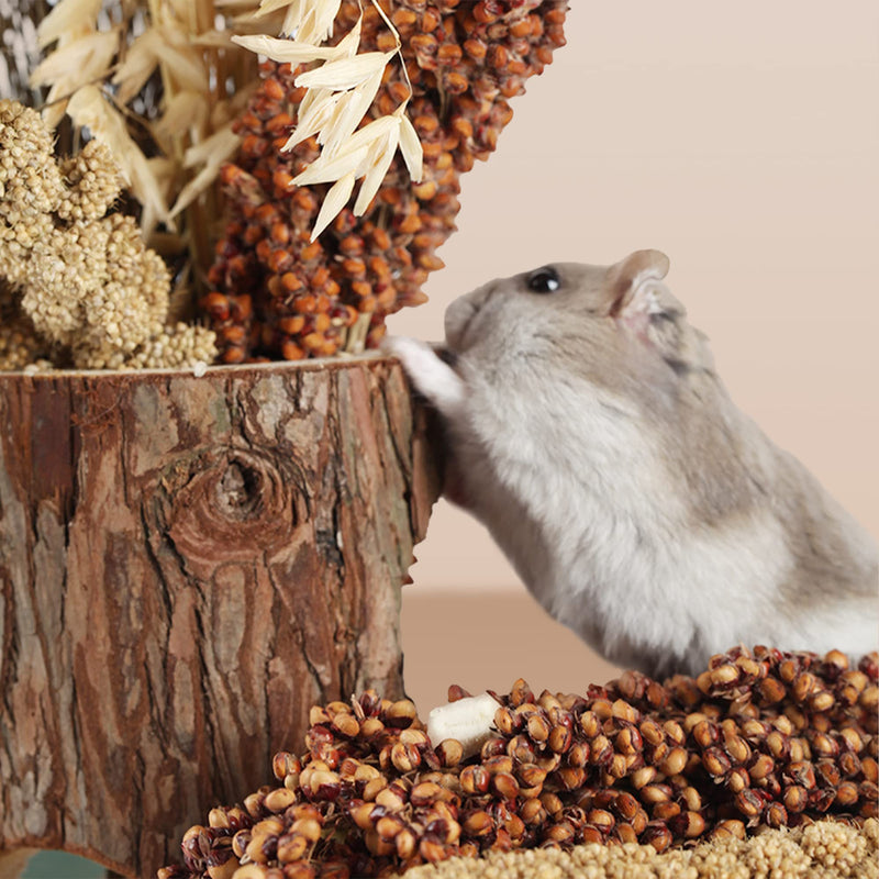 NICERINC PET Natural Herb Bedding Mate Habitat Decor, Adding Fun Hamster Accessories for Hamsters Gerbils Lemming Grain - BeesActive Australia