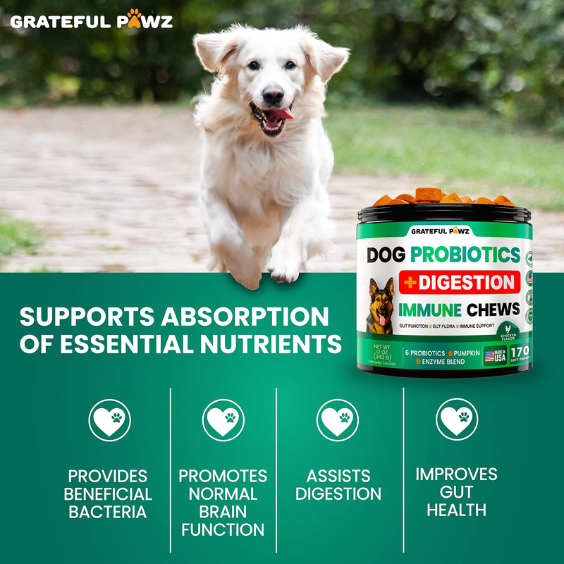 Probiotics for Dogs - Dog Probiotics and Digestive Enzymes + Prebiotics - Chewable Fiber Supplement - Probiotic Chews for Dogs - Allergy, Diarrhea, Gas, Constipation, Upset Stomach Relief - BeesActive Australia