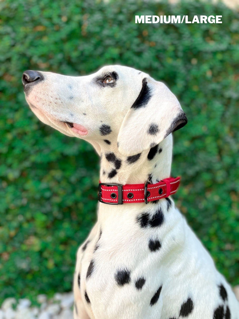 Tuff Pupper Heavy Duty Dog Collar with Handle | Ballistic Nylon Heavy Duty Collar | Padded Reflective Dog Collar with Adjustable Stainless Steel Hardware | Convenient Sizing for All Breeds Medium/Large (14 - 18" Neck) March Red - BeesActive Australia
