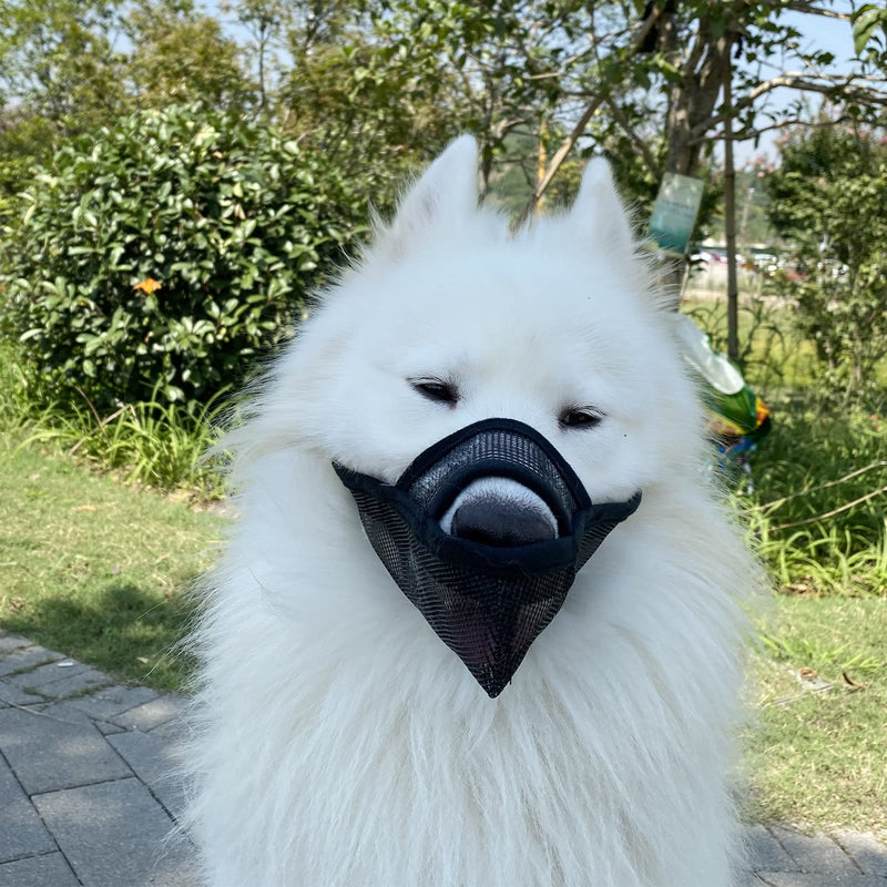 Dog Muzzle Anti Biting Barking - Soft Air Mesh Breathable and Drinkable，Adjustable Loop Pet Muzzle for Small Medium Large Dogs - (xs) - BeesActive Australia