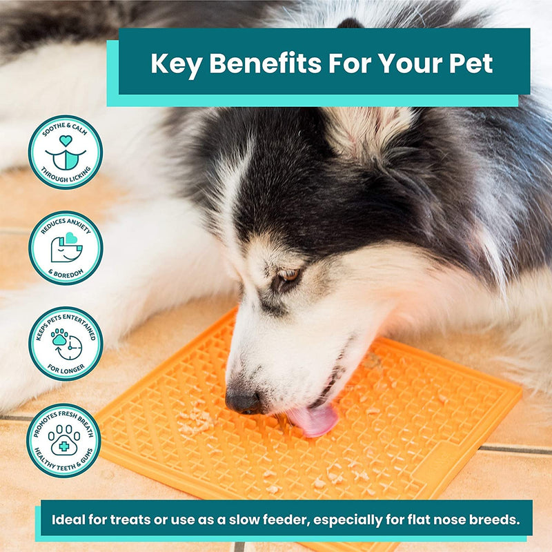 LickiMat X Large Breed Dog Lick Mat, Dog Calmer, Slow Feeder, Anxiety Reliever Alternative to Puzzle Toys, Slow Feeding Bowls. Use Peanut Butter, Wet Food, Raw Food, Mixed Food, Healthy Treats Turquoise Buddy - BeesActive Australia