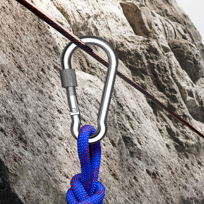 SpotDoo Locking Carabiner Clips, 304 Stainless Steel Heavy Duty Locking Carabiner Spring Snap Hook 3.15 Inch (M8) 6 - BeesActive Australia