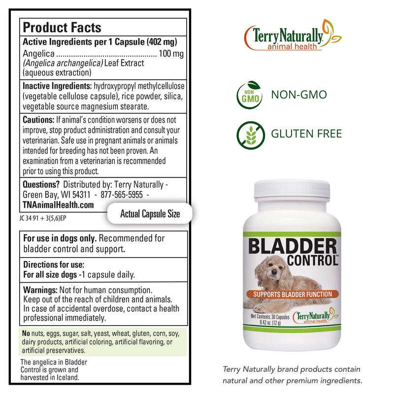Terry Naturally Animal Health Bladder Control - 30 Capsules - 100 mg Angelica - Bladder Health & Urinary Tract Support for Dogs - Non-GMO, Canine Only - 30 Servings - BeesActive Australia