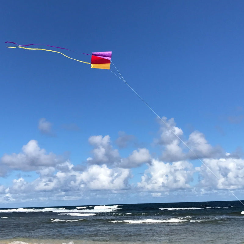 [AUSTRALIA] - In the Breeze Sled Kite with Bag, 30-Inch 