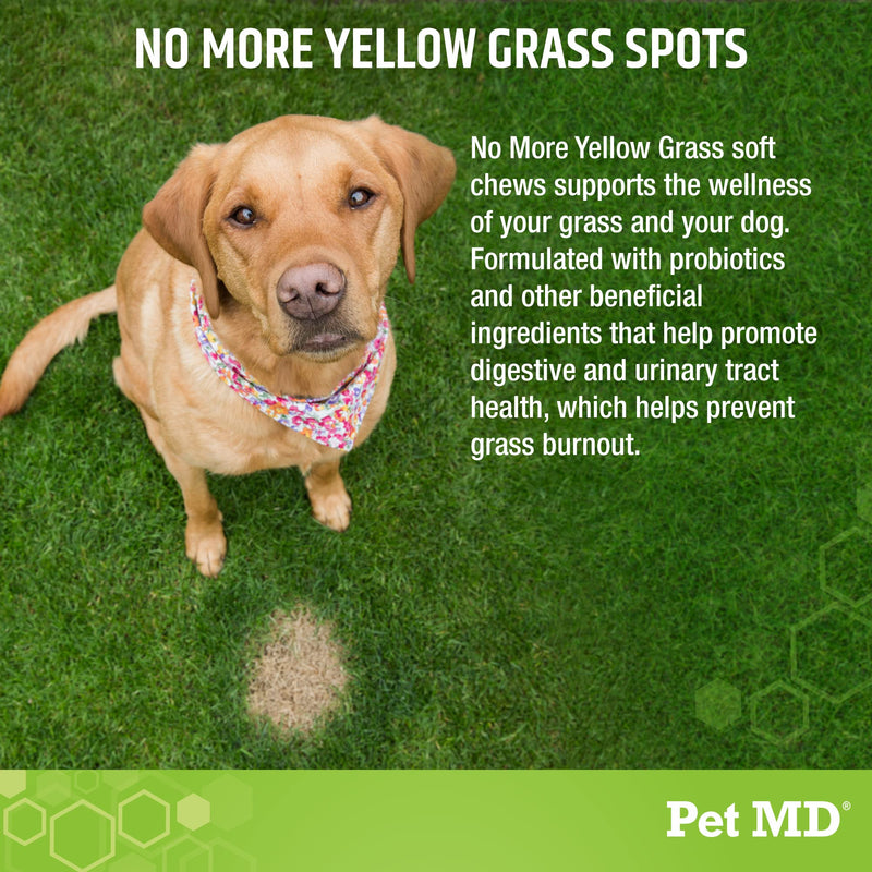 Pet MD Lawn Aid Chews - No More Yellow Spots Dog Urine Neutralizer for Lawn - pH-Balancing Helps Prevent Dog Pee from Killing Grass - Enhanced with Digestive Probiotics for Dogs & Puppies - 120 ct - BeesActive Australia