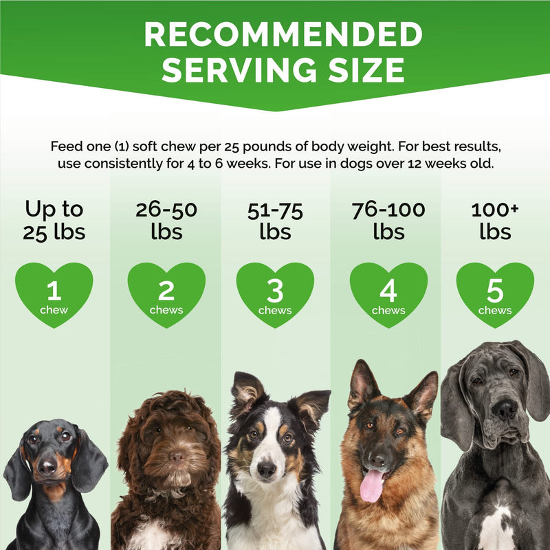 Premium Care Cranberry Bladder Chews - Dog Supplements for Urinary Tract (UT) Health, Bladder and Kidney Support - Cranberry Chewables with Vitamins for Better Bladder Control for Dogs - 120 Chews - BeesActive Australia