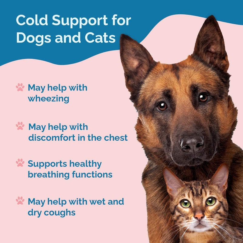 Prana Pets Cold Support for Cats and Dogs - BeesActive Australia