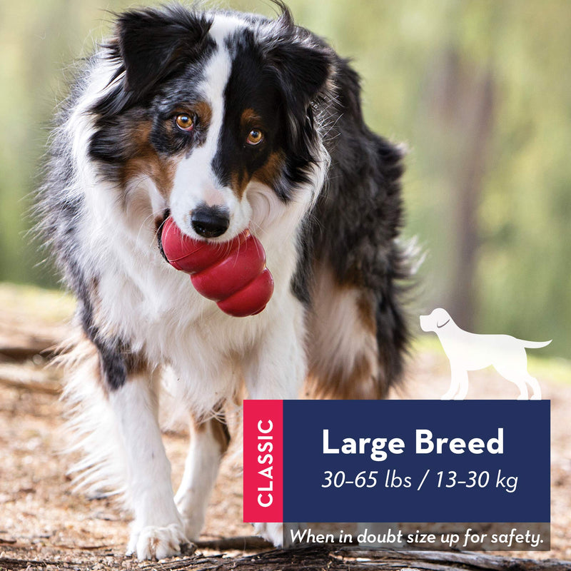 KONG - Classic and Ziggies - Dog Chew Toy with Dog Treats - for Large Dogs - BeesActive Australia