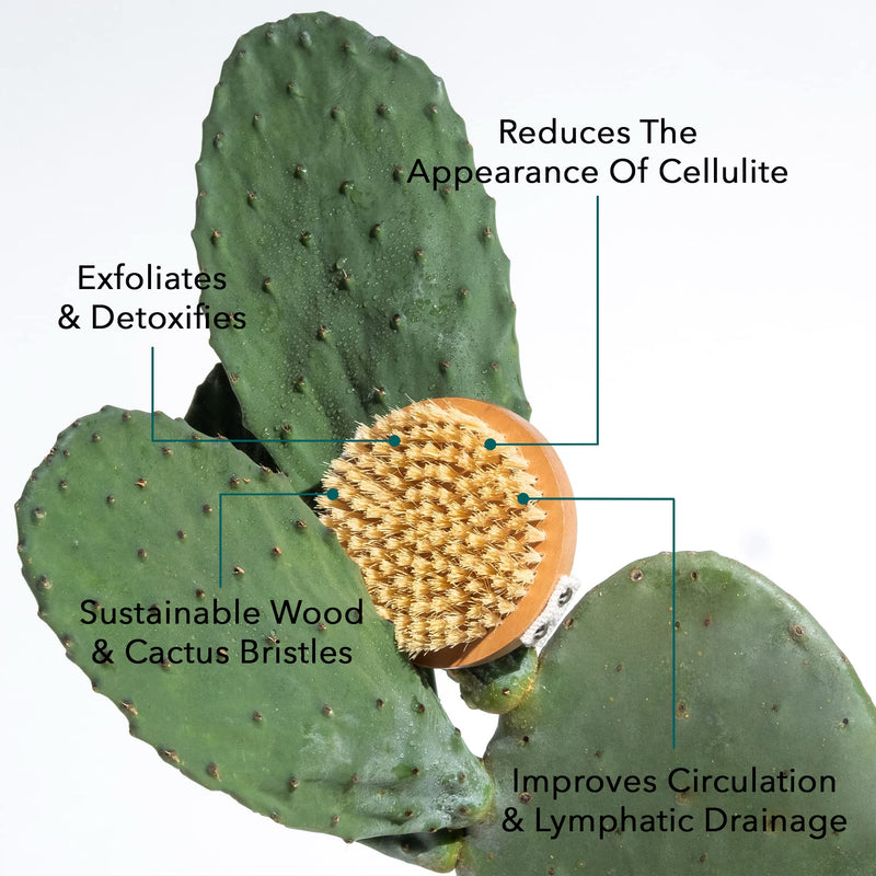 Legology Premium Natural Exfoliating Body Brush for Skin Detox & Cellulite - Lymph-Lite Boom Brush For Body - BeesActive Australia