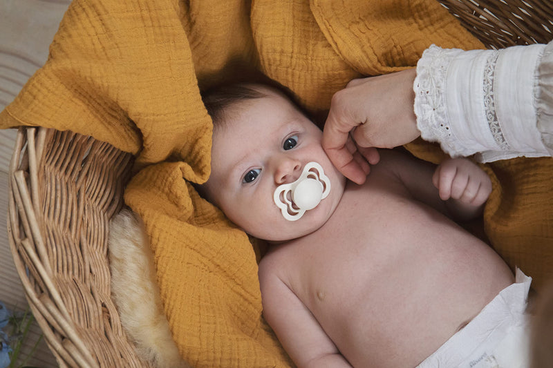 BIBS Pacifiers 6-18 Months | 4-Pack Soothers | BPA-Free Symmetrical Nipple | Made in Denmark | Ivory Try-It Collection - BeesActive Australia