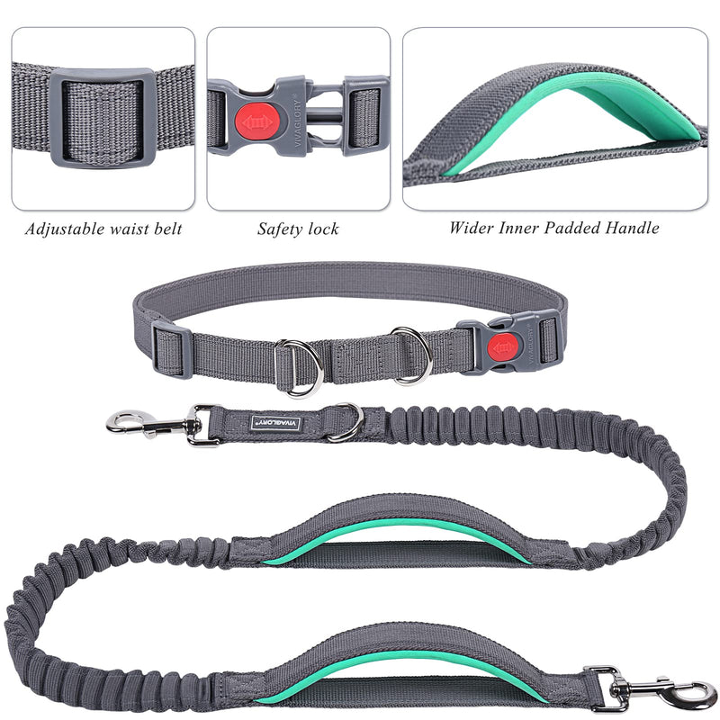 VIVAGLORY Hands Free Dog Leash with Dual Advanced Anti-Shock Bungees and Padded Handles, Reflective Waist Running Leash with Adjustable Belt for Training Jogging for Medium Large Dogs Fits waist 25½"~44" Grey/Turquoise - BeesActive Australia