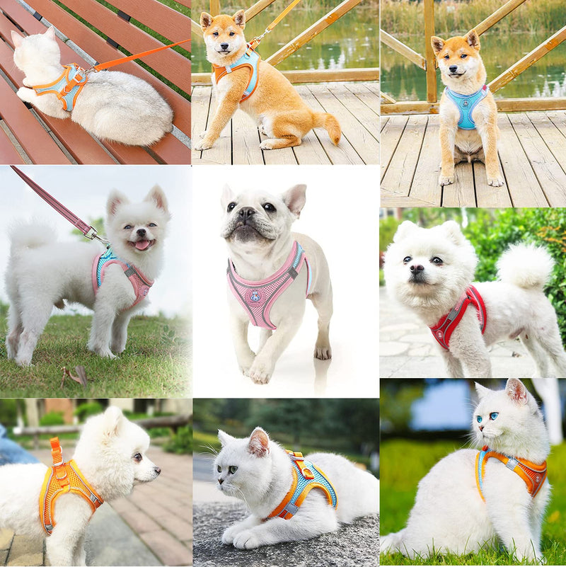 LMOBXEVL Dog Harness,Puppy Harness and Leash Set for Walking Escape Proof,Comfortable Air Mesh Dog Vest Harness with Reflective Strip, Step-in Outdoor Pet Vest for Dog Breeds XX-Small (Pack of 1) Pink/Blue - BeesActive Australia