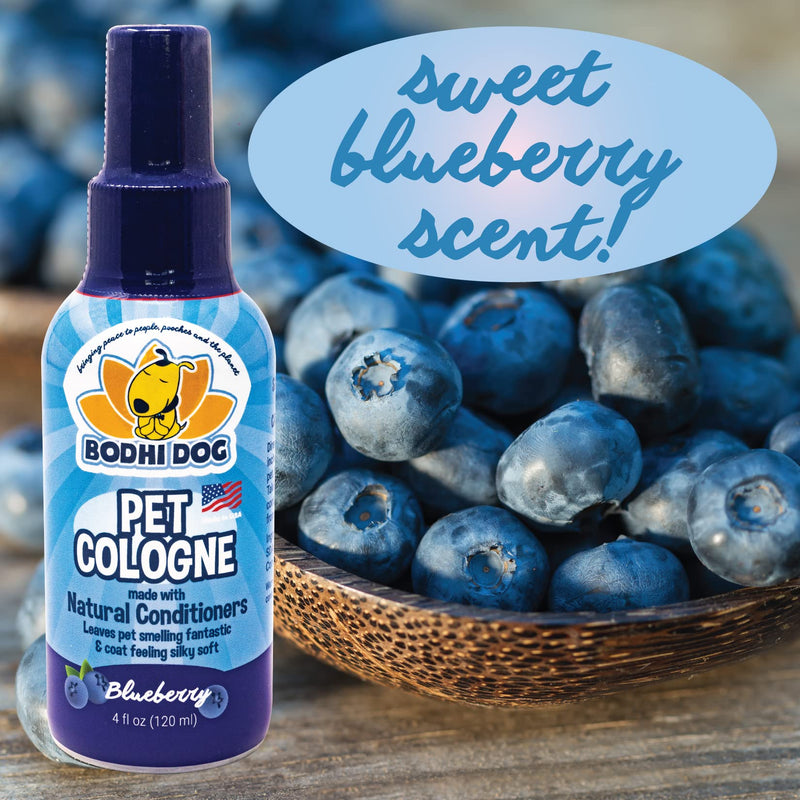 Bodhi Dog Natural Pet Cologne | Premium Scented Perfume Body Spray for Dogs and Cats | Clean and Fresh Scent | Natural Conditioning Qualities | Made in USA (Blueberry, 4oz) - BeesActive Australia