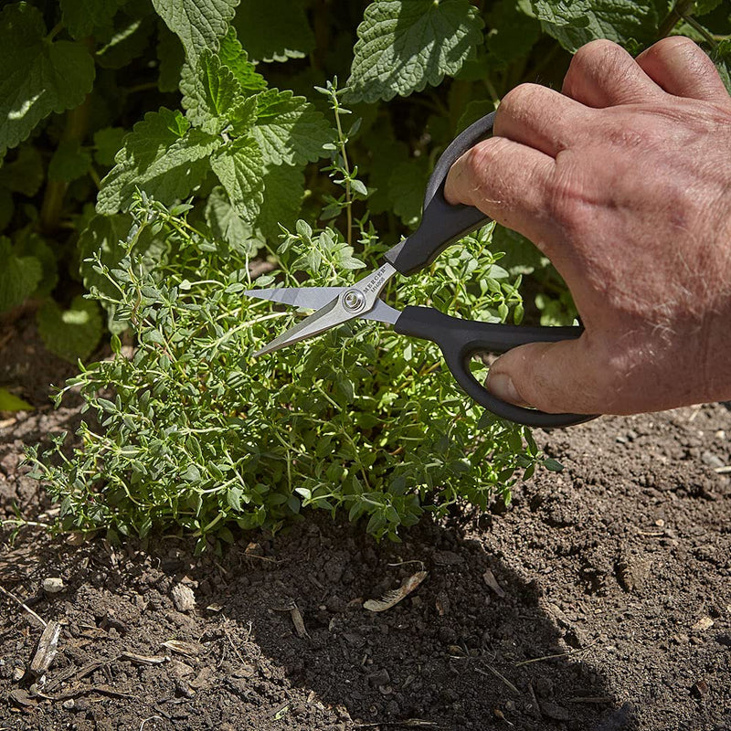Mercer Culinary Herb Snips, 6 1/2-Inch - BeesActive Australia