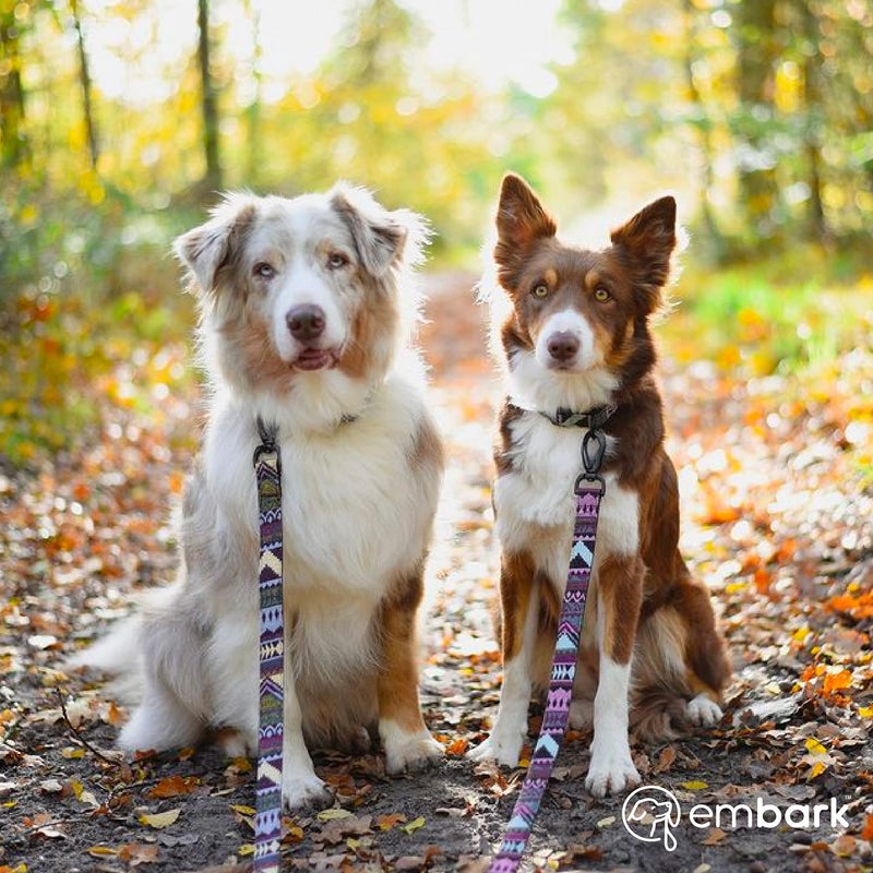 Embark Urban Dog Collar for Large, Medium, & Small Dogs - Durable Collars for Male & Female Dogs - Thick Nylon Material & Hardware - Leather Embossed Aztec - BeesActive Australia
