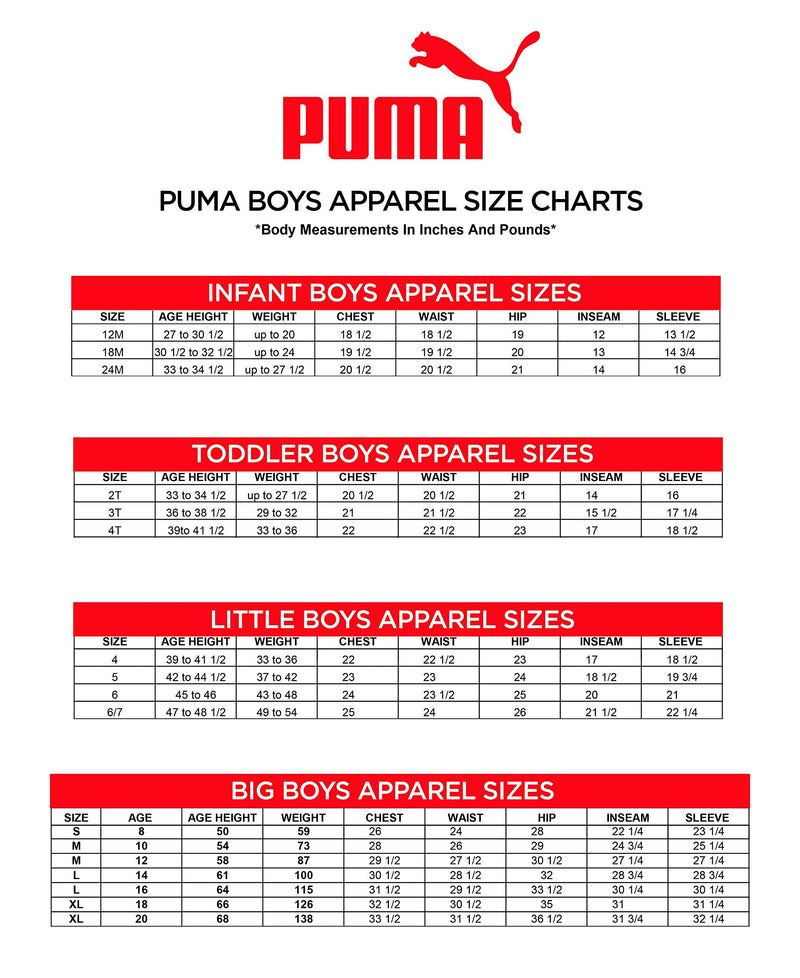 PUMA boys Fleece Pullover Hoodie & Jogger Set 6 Charcoal Heather - BeesActive Australia