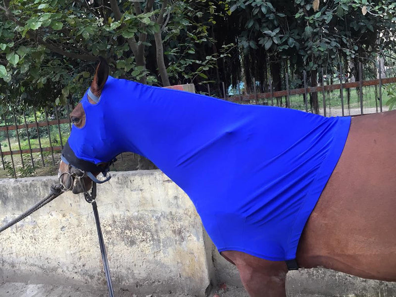 Majestic Ally Stretch Lycra Horse Hood with Zipper Medium Royal Blue - BeesActive Australia
