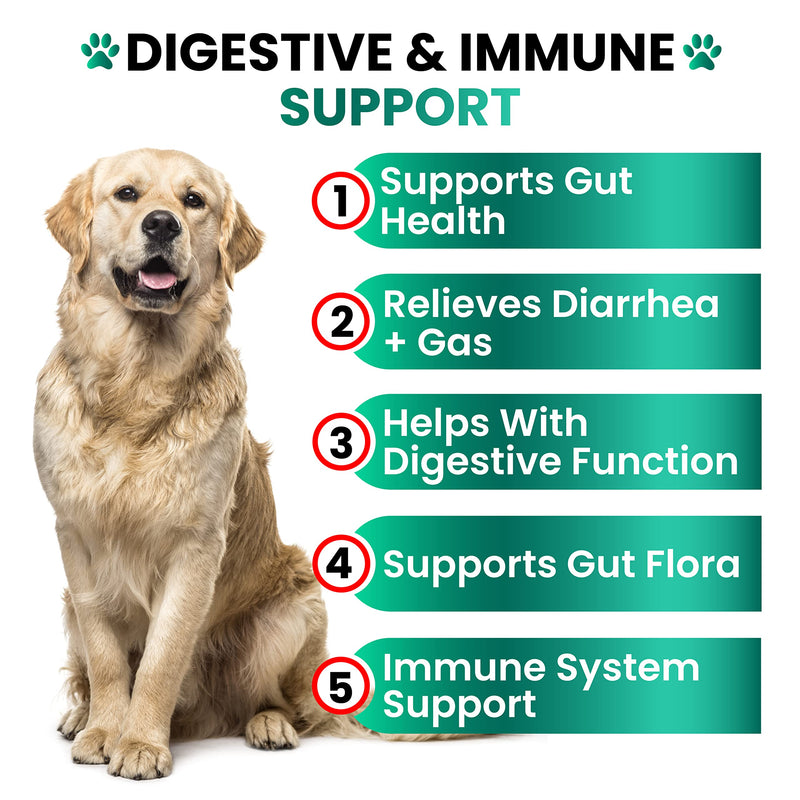 Probiotics for Dogs - Dog Probiotics and Digestive Enzymes + Prebiotics - Chewable Fiber Supplement - Probiotic Chews for Dogs - Allergy, Diarrhea, Gas, Constipation, Upset Stomach Relief - BeesActive Australia