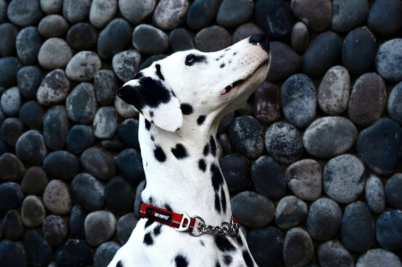 Tuff Pupper Martingale Collar for Dogs | Gentle Nylon & Steel Chain Limited Cinch Design is Perfect for Training | Dual Leash Attachment Points | Durable Quick Release Buckle | Sizing for All Breeds Small (12-16" Neck) Fiery Red - BeesActive Australia