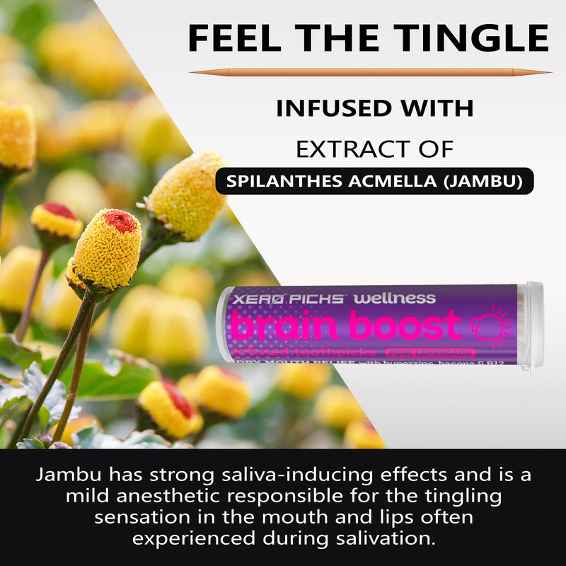 Xero Picks Infused Flavored Toothpicks for Long-Lasting Fresh Breath, Wellness & Dry Mouth Prevention (Pink Lemonade, 3 Pack) Pink Lemonade - BeesActive Australia