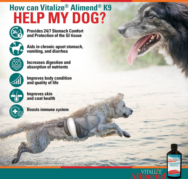 Vitalize Alimend K9 - Dog Upset Stomach Relief for Nausea, Vomiting & Diarrhea - 6 Oz - BeesActive Australia