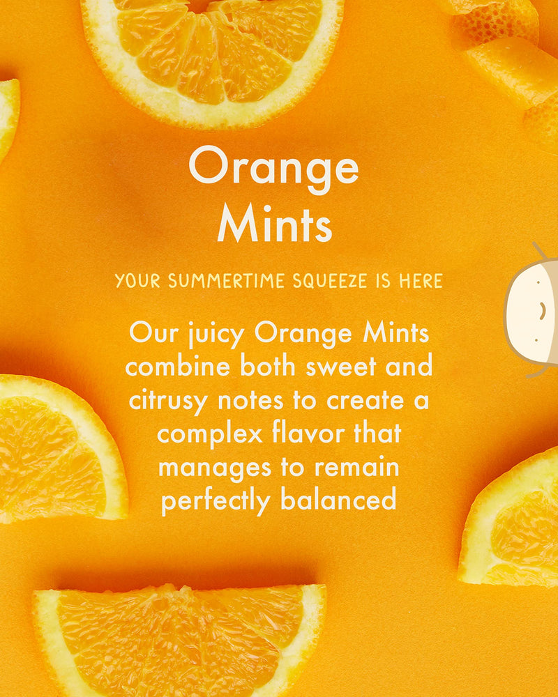 True Mints Mixed Flavours (12-pack) - Sugar Free Mints - Xylitol Mints - Fruit Pastilles - Sugar Free & Plantbased Travel Sweets with Natural Flavours Mixed Flavours Mints 12 Count (Pack of 1) - BeesActive Australia