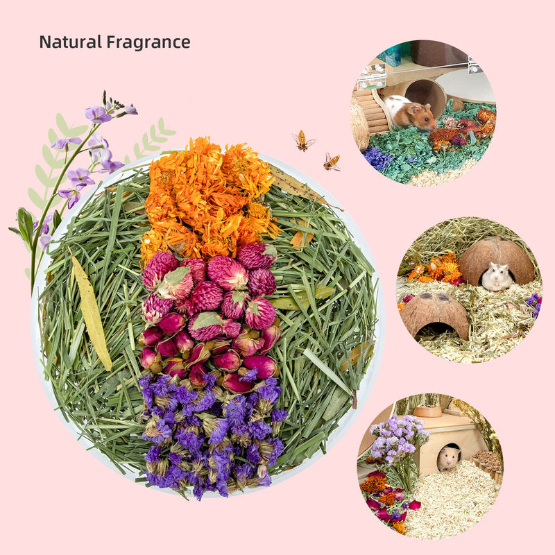 Niteangel Natural & Soft Hamster Bedding Mate Small Animal Habitat Decor for Syrian Dwarf Hamsters Gerbils Mice Degus Bunny or Other Small-Sized Pet Flowers Scent Path - BeesActive Australia
