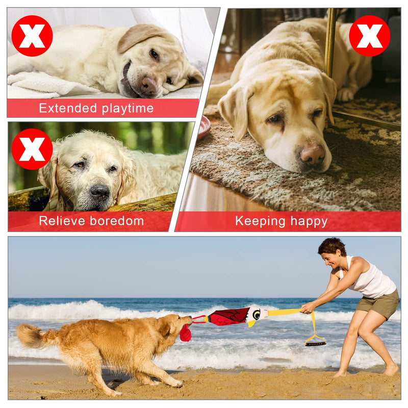 Yizocenguo Dog Rope Toys, Dog Chew Toys for Aggressive chewers,Tug of war Dog Toy, Dog Squeaky Toys, Tough Durable Pull Toys for Small Dogs (Eagle) - BeesActive Australia