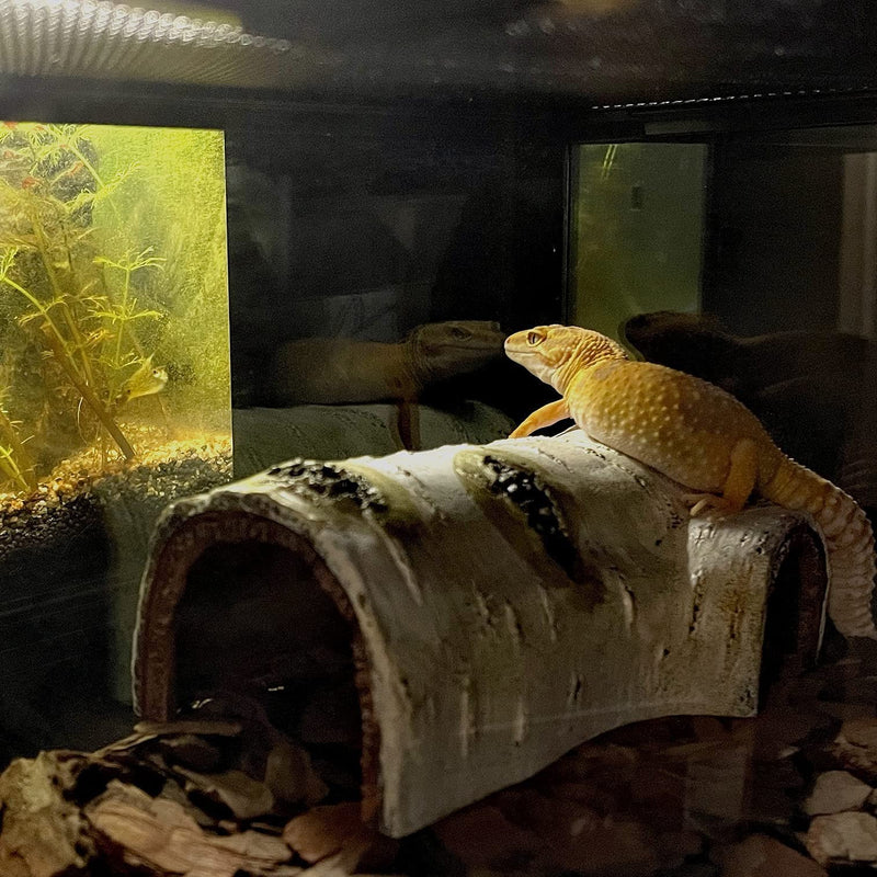 Reptile Hides and Caves Birch Tree Bark Trunk Habitats Decor Aquarium Decoration Wood for Lizard Geckos Snake Spiders Frogs Turtle Small - BeesActive Australia