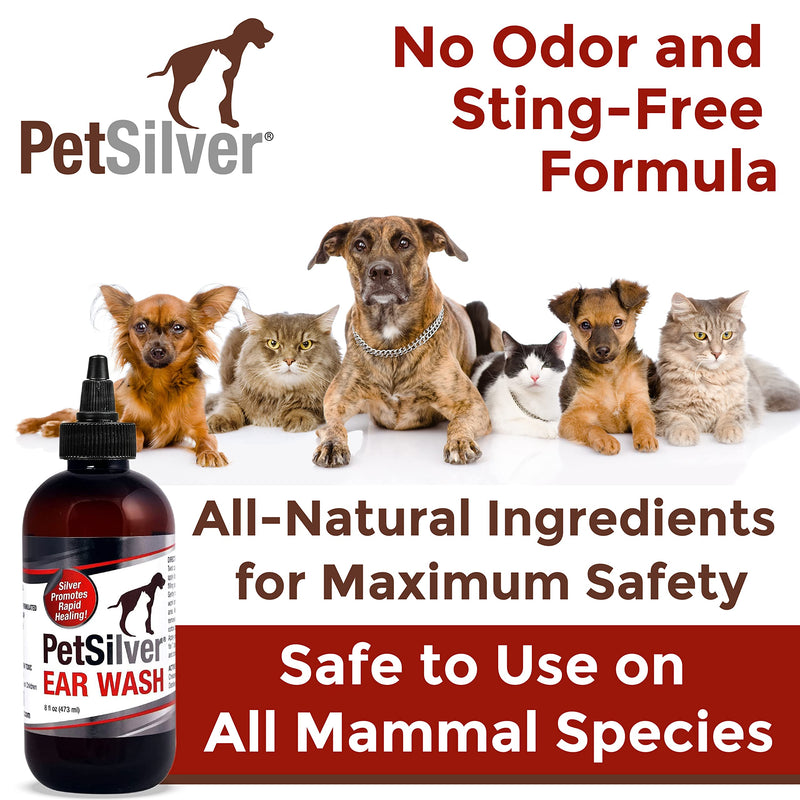 PetSilver Ear Wash Drops with Chelated Silver, Made in USA, Natural Ear Solution, Odorless Formula, Easy to Apply 8 oz - BeesActive Australia