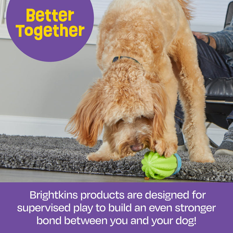 Brightkins Cactus Surprise Treat Dispenser - 1 Piece Mental Stimulation Toys for Dogs, Treat Dispenser for Dogs, Multicolor - BeesActive Australia