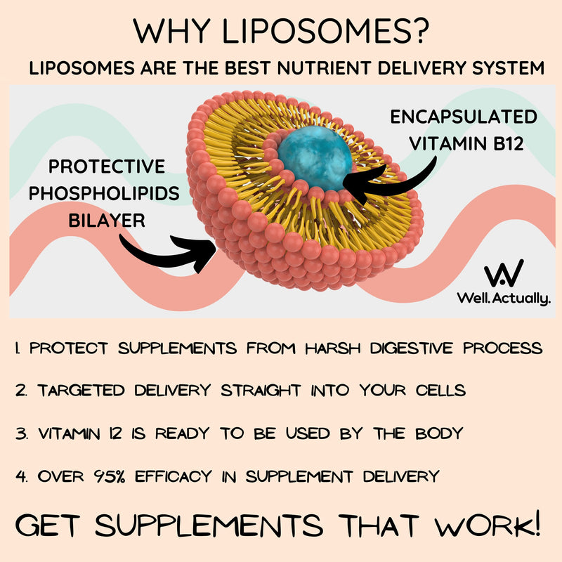 WELL ACTUALLY Liposomal Vitamin B12 Spray 1200mcg - 10X Better Bioavailability - High Absorption Vegan B12 Methylcobalamin Oral Spray for Energy, Brain, Immunity - Very Berry (180 Sprays) - BeesActive Australia