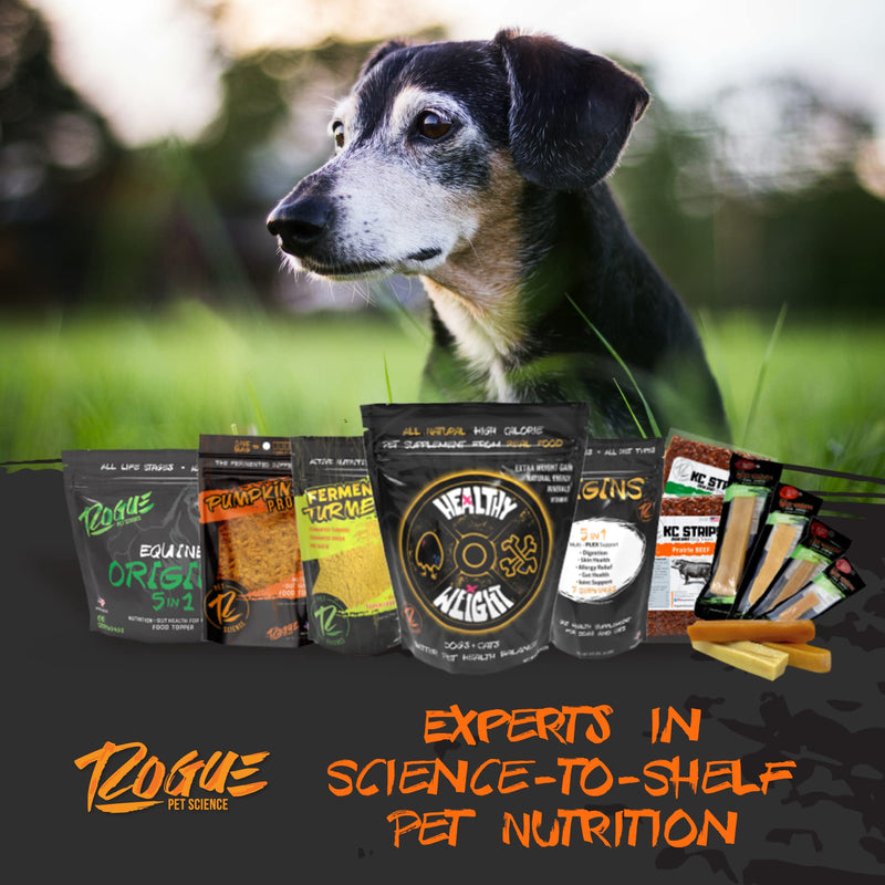ROGUE PET SCIENCE Turmeric Plus for Dogs - Tasty Powdered Ginger & Fermented Turmeric Dog Food Topper - Supports Joint Inflammation, Allergies, Gut and Digestion - Helps Reduce Swelling(5.25 oz) - BeesActive Australia