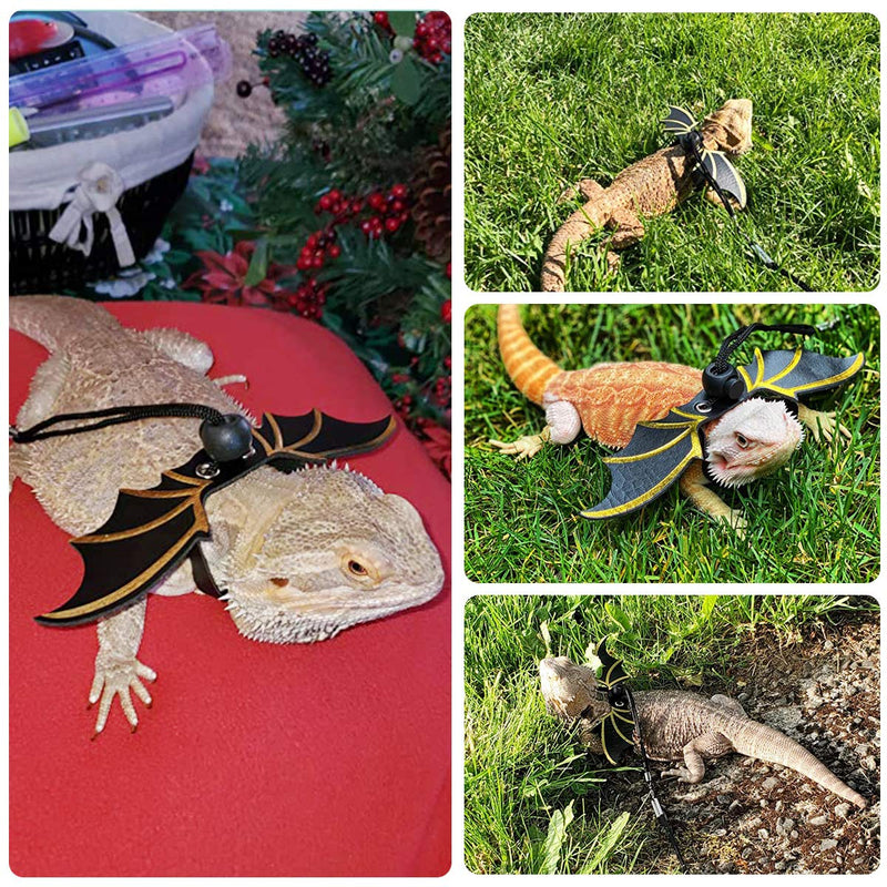 Pawaboo Adjustable Bearded Dragon Harness and Leash, 3 Size Leather Reptile Leash Outdoor Harness Leash with Bat Wings for Lizard Reptiles Amphibians Small Pet Animals, Small/Medium/Large Black+Gold - BeesActive Australia