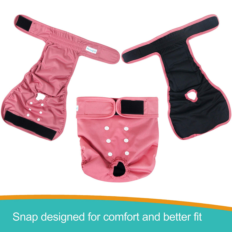 Paw Legend Reusable Female Dog Diapers, Pack of 3 Large (17.5''-27'' Waist) Cheerful (Black Lining) - BeesActive Australia