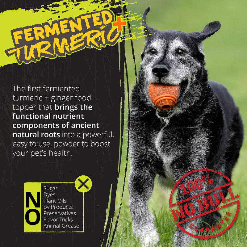 ROGUE PET SCIENCE Turmeric Plus for Dogs - Tasty Powdered Ginger & Fermented Turmeric Dog Food Topper - Supports Joint Inflammation, Allergies, Gut and Digestion - Helps Reduce Swelling(5.25 oz) - BeesActive Australia