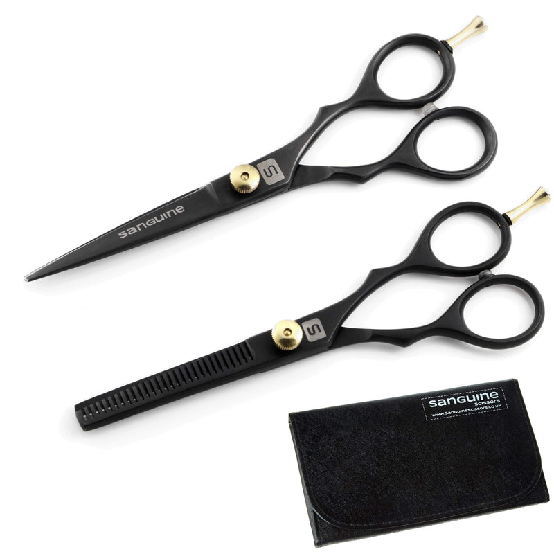 Professional Hair Scissors and Hair Thinning Scissors SET, 5.5 inch, Presentation Case 2 Piece Set - BeesActive Australia