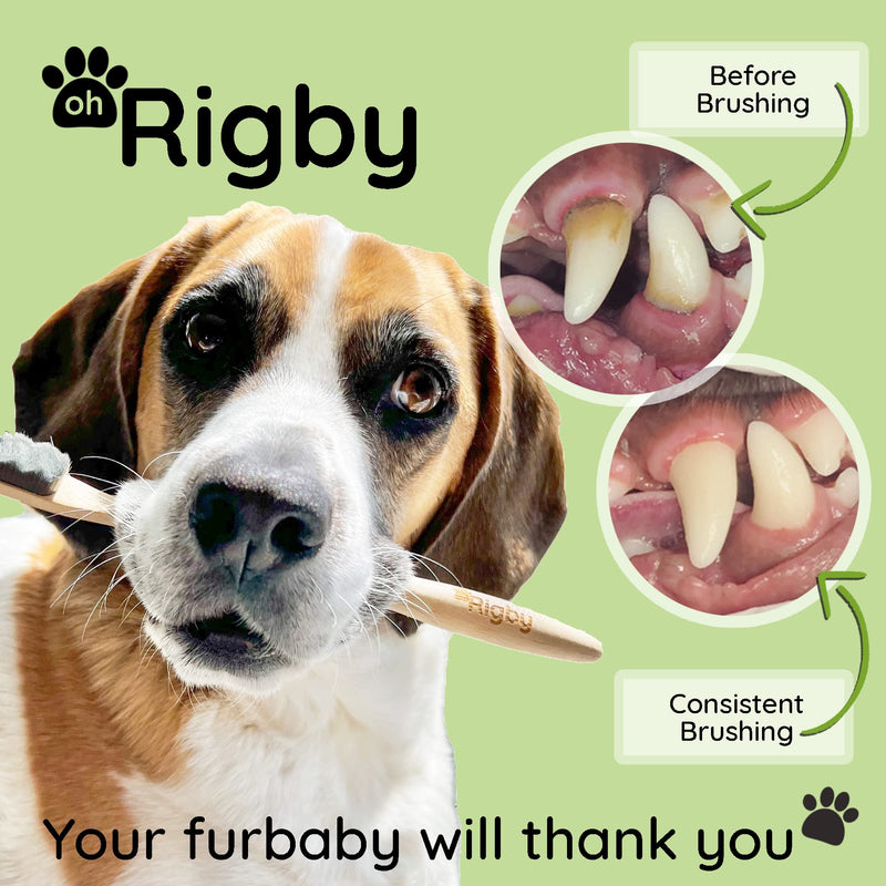 OH RIGBY Dog Toothbrush- 10,000 Ultra-Soft Bristles for Sensitive Pet Teeth & Gums- Natural Bamboo Toothbrush for Comfortable, Gentle Deep Cleaning - BeesActive Australia