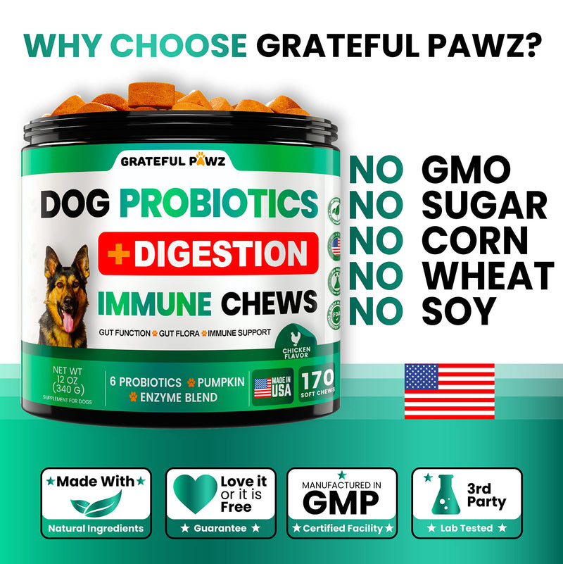 Probiotics for Dogs - Dog Probiotics and Digestive Enzymes + Prebiotics - Chewable Fiber Supplement - Probiotic Chews for Dogs - Allergy, Diarrhea, Gas, Constipation, Upset Stomach Relief - BeesActive Australia