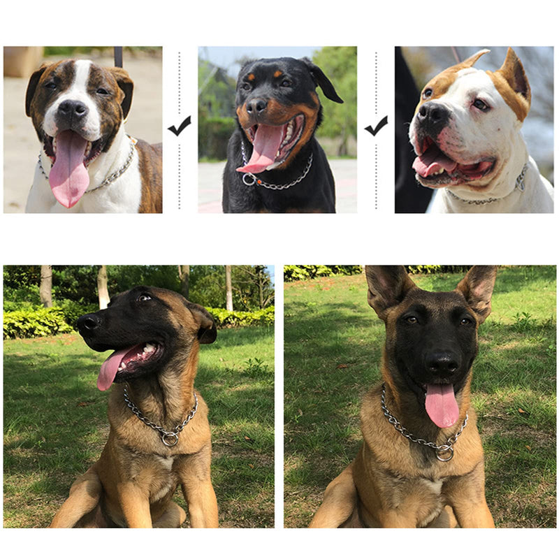 YUANKEXIANG Dog Choke Collar, Slip P Chain, Choke Chain Collars for Small Medium Large Dogs, Training Obedience Control Chain Dog Collars Adjustable Stainless Steel Chew Proof 20 Inch, 2.5mm (Pack of 1) - BeesActive Australia